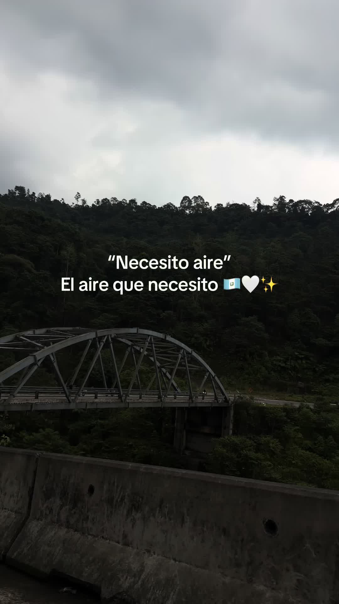 @viany ౨ৎ