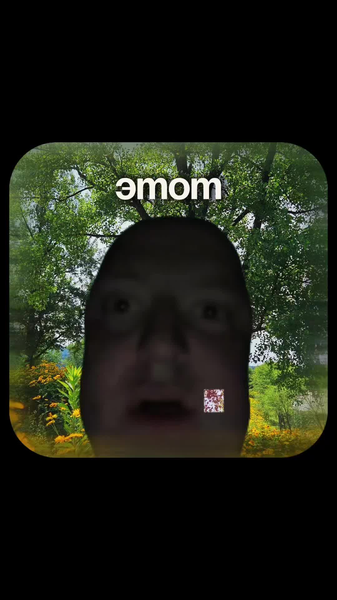 @Riki67