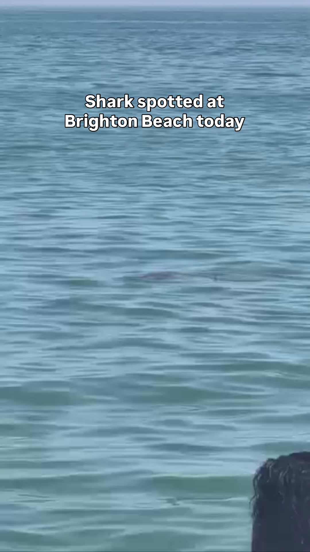 @Brighton&rsquo;s Official #1 Page