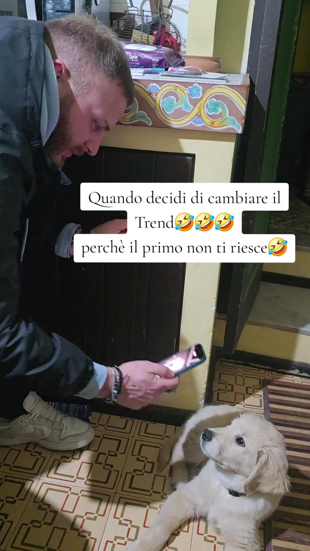 @Camilla Spinella