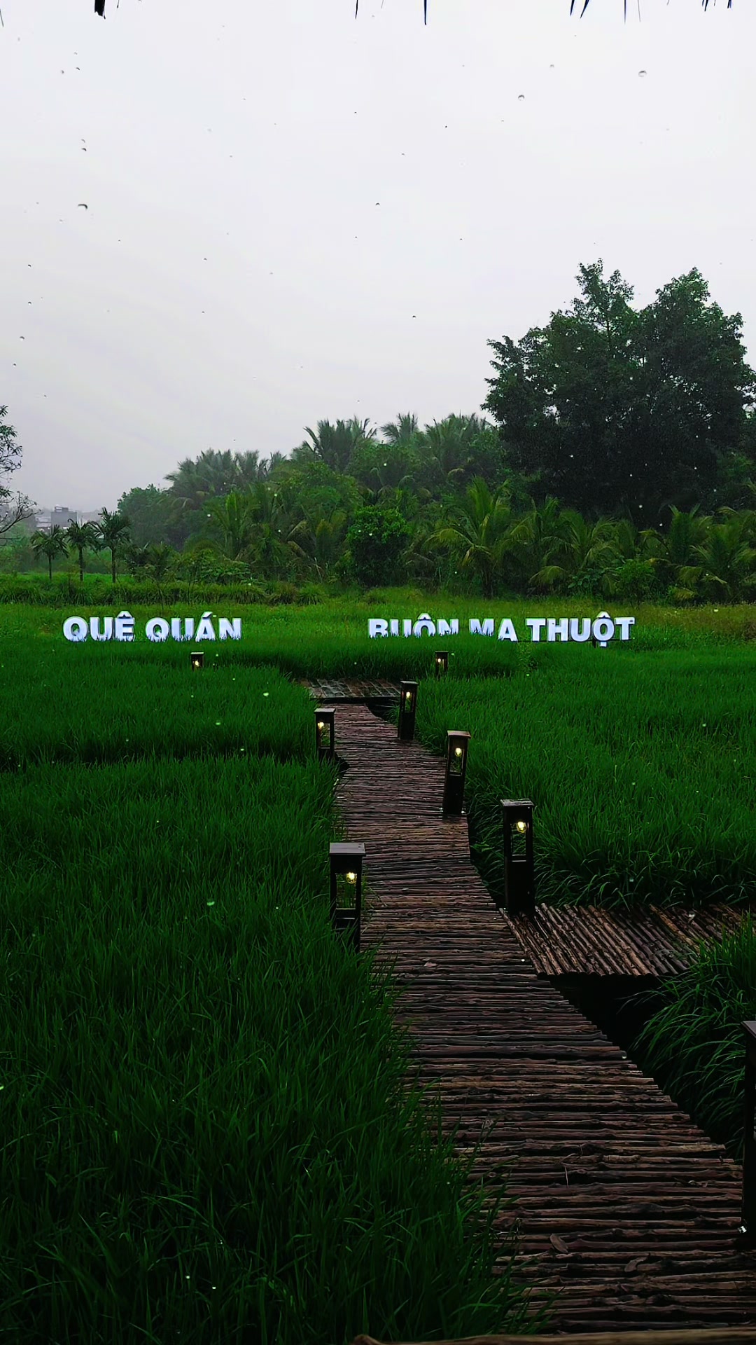 @G&ograve;n Ăn năng 🤤