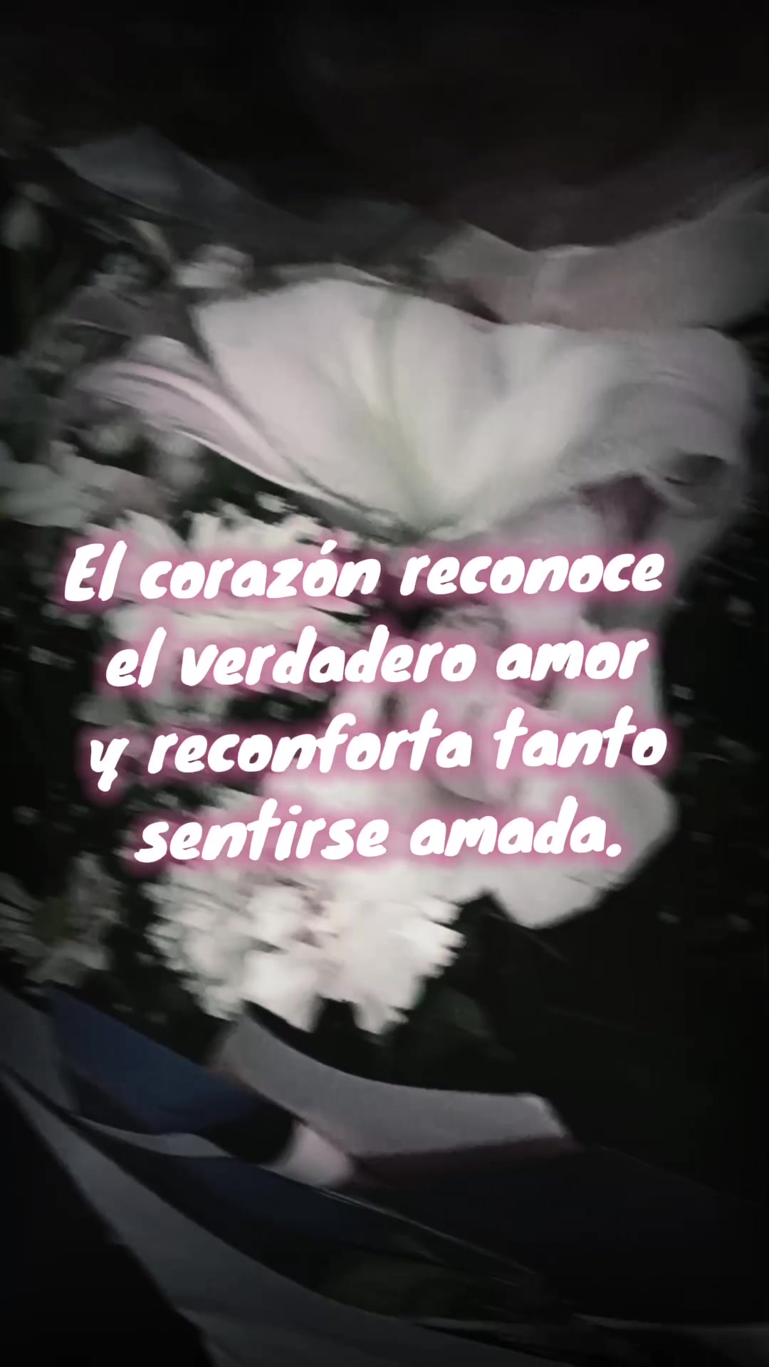 @Elianet ✨ mensajes