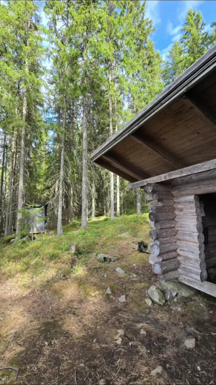 @Mikko Flanski