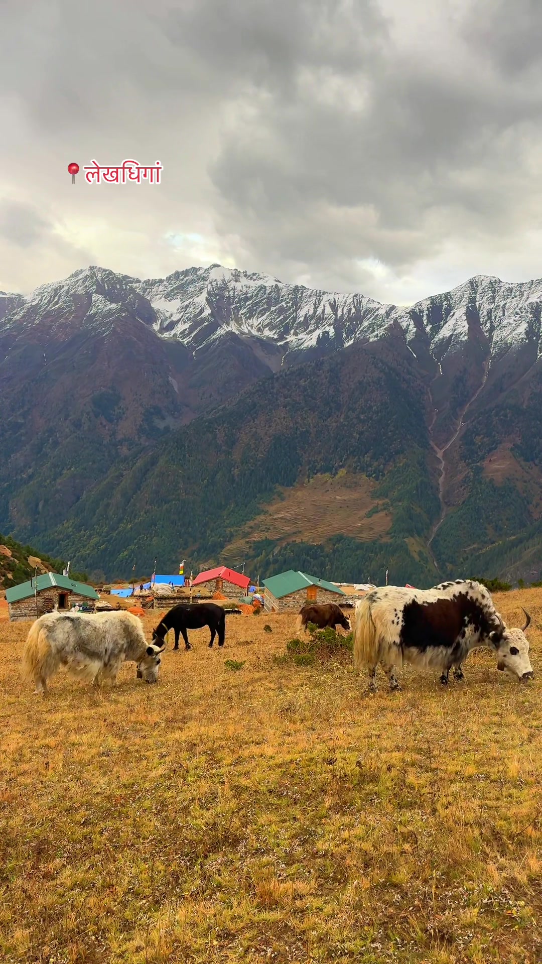 @हुम्ली कान्छो