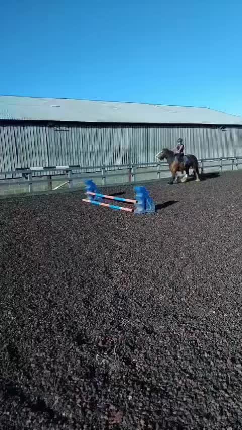@Ellie 🐴🏎️