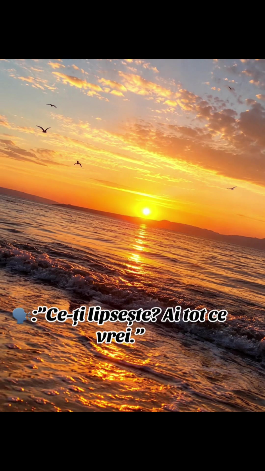 @⭐️🎀AdinaMiny🎀⭐️