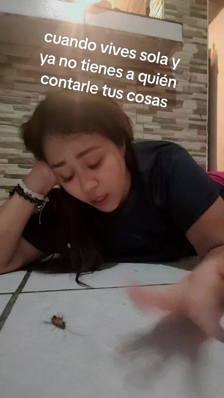 @elisabethgomescha