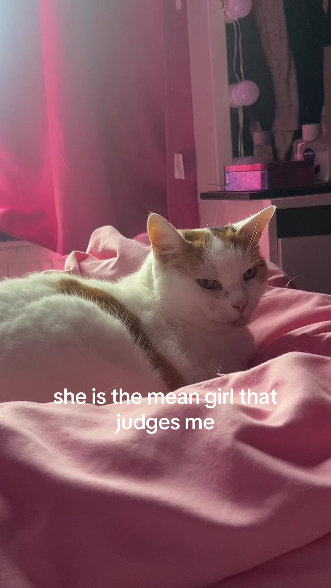 @georgia