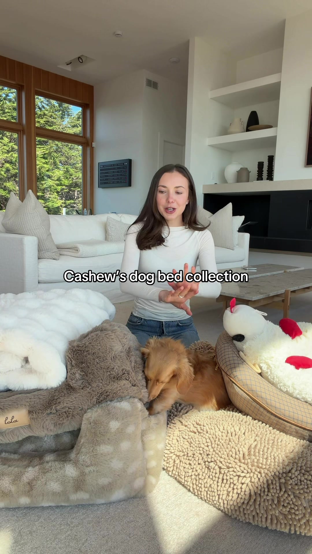 @cashewdachshund