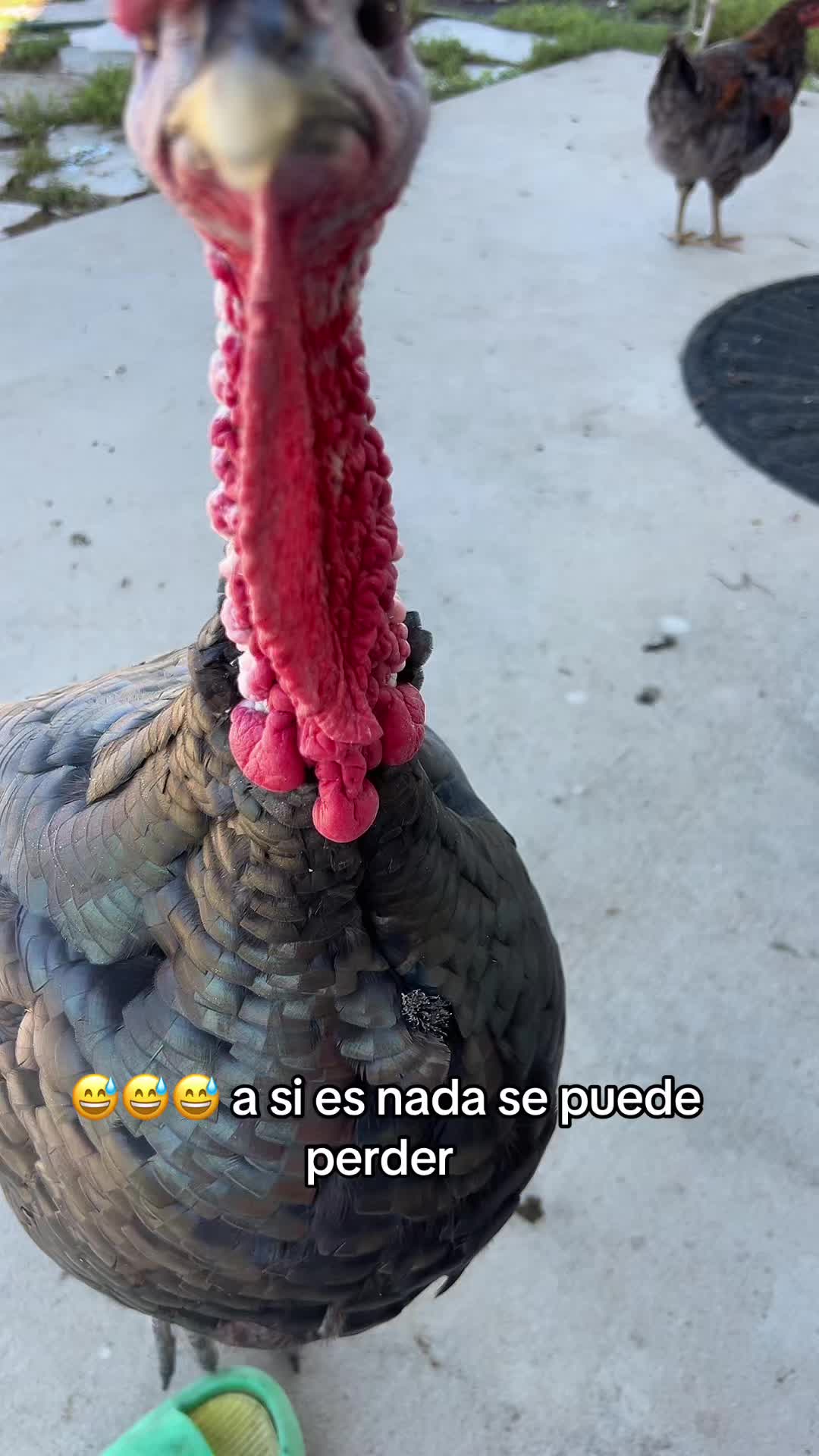 @Marlene
