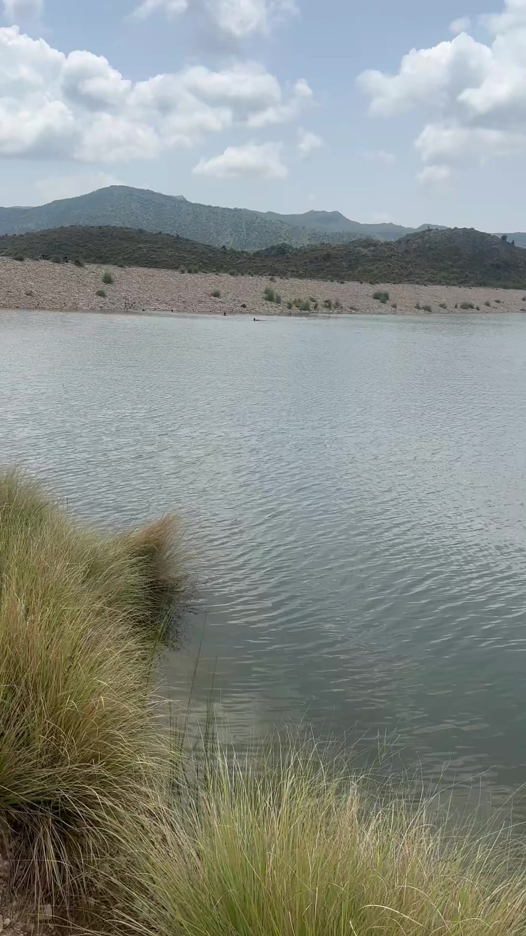@ayankhattak804