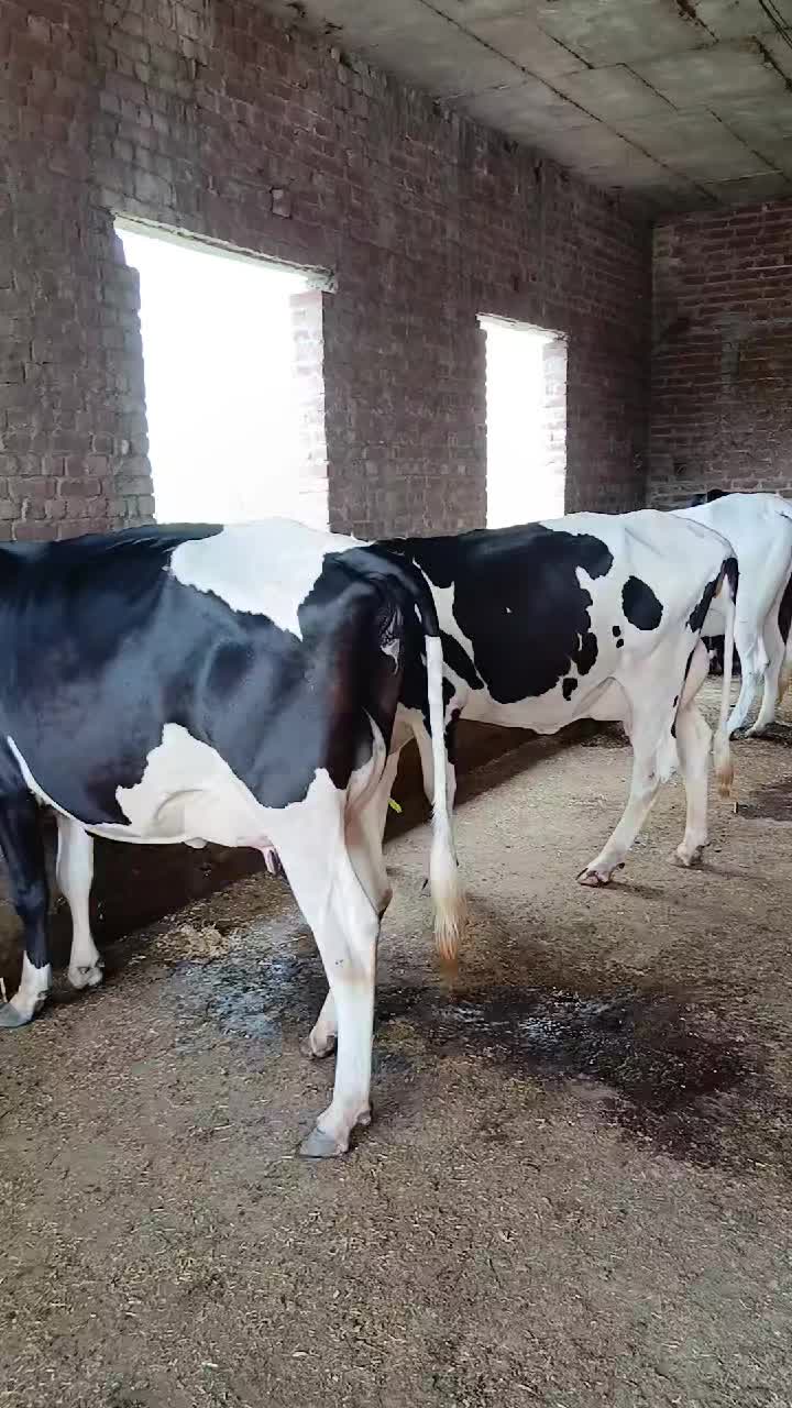 @Farming and Business Ideas