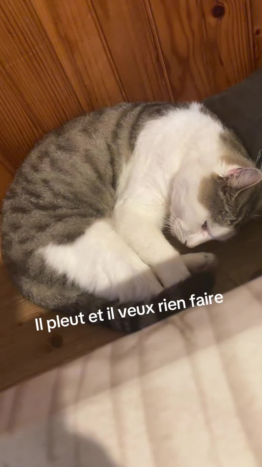 @Chatchientok