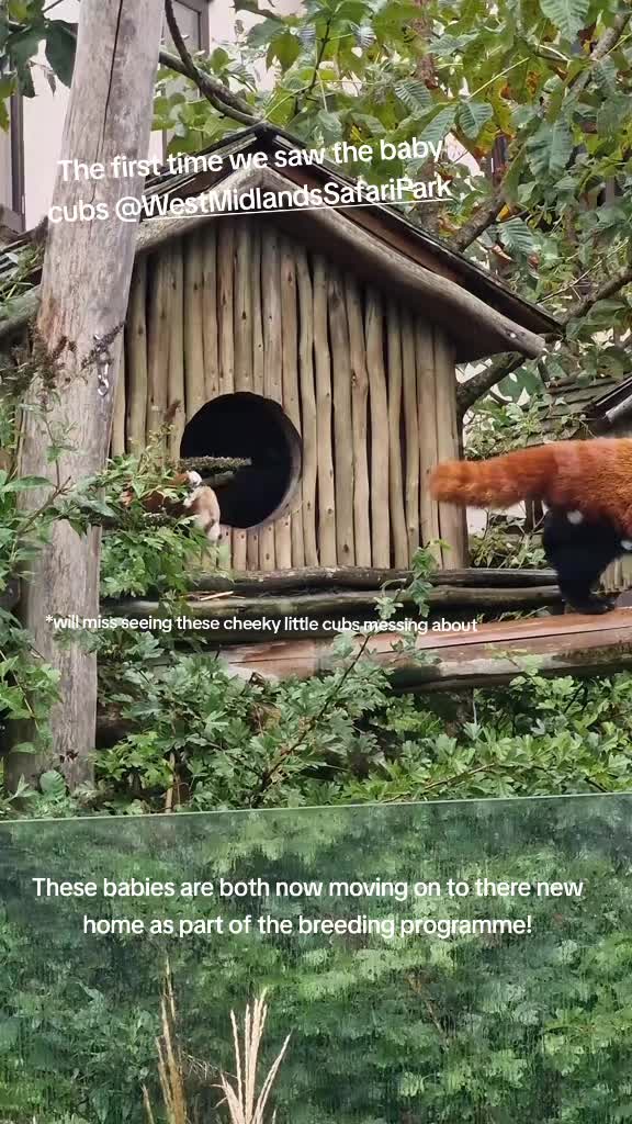 @Amber's Animal Adventures