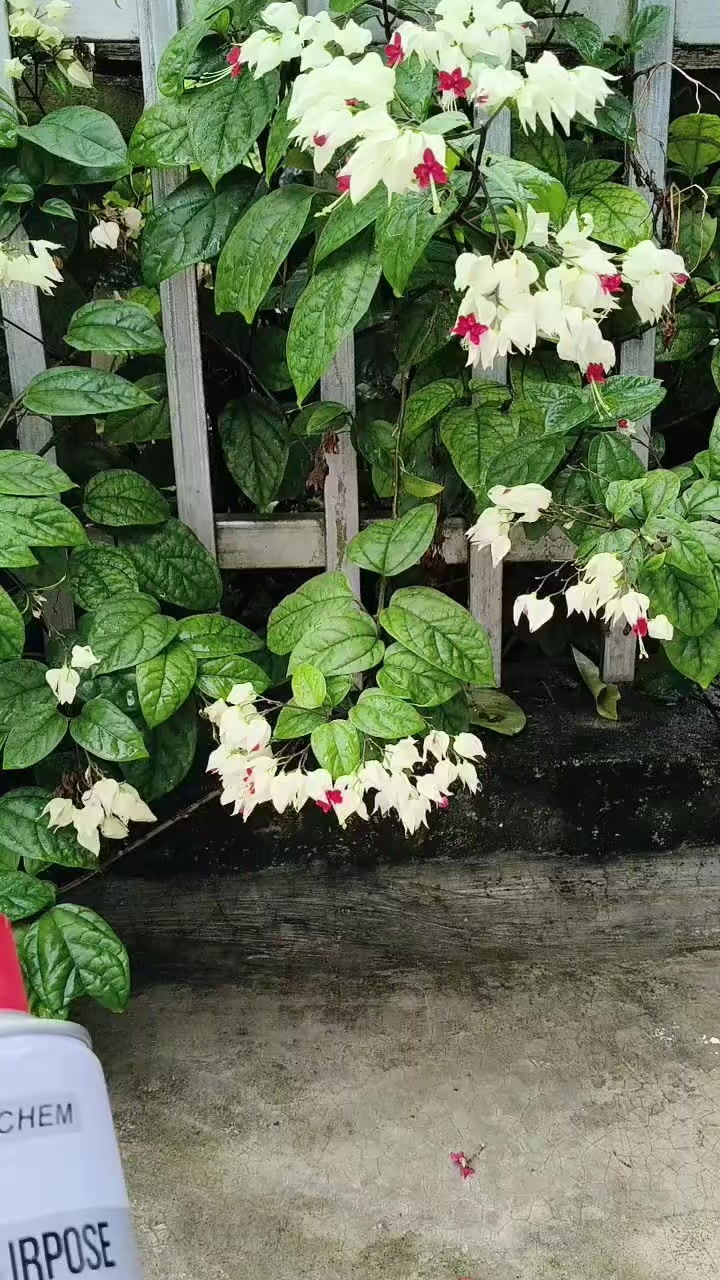 @Nguyễn Thiện Nhân
