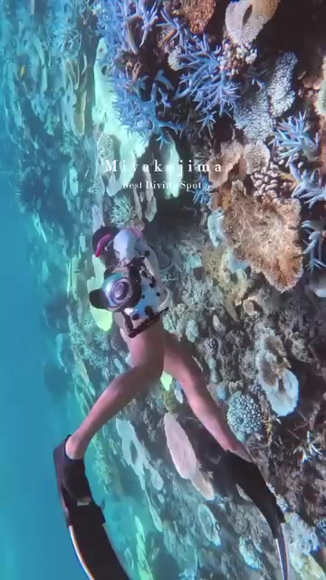 @별빛하트