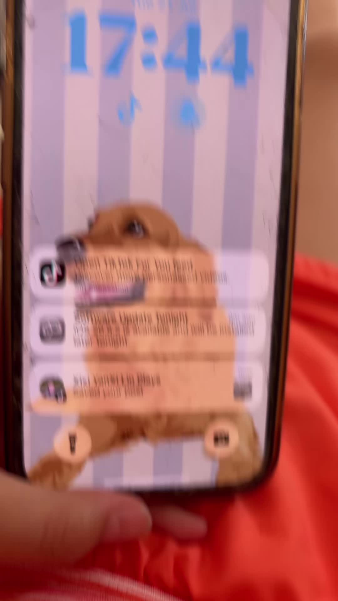 @Darcccccxx