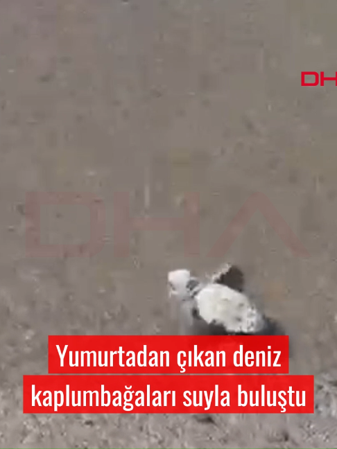 @Demirören Haber Ajansı