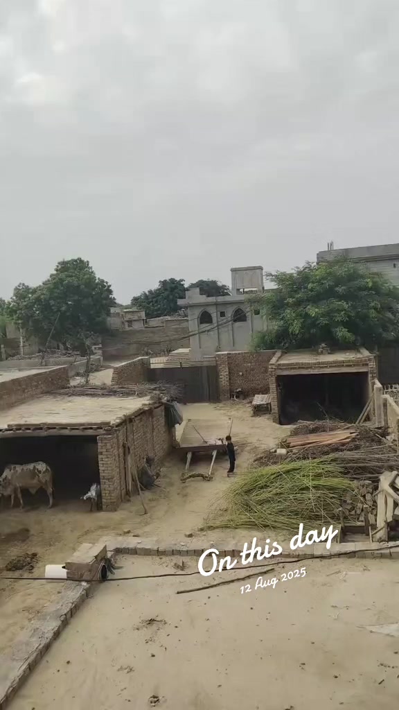 @۔جو مرضی کر لو آخر موت ہے۔