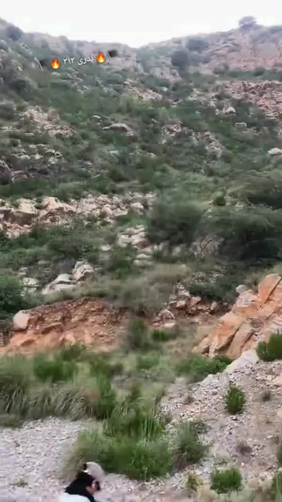 @🏴🔥  بدری ۳۱۳ 🔥🏴