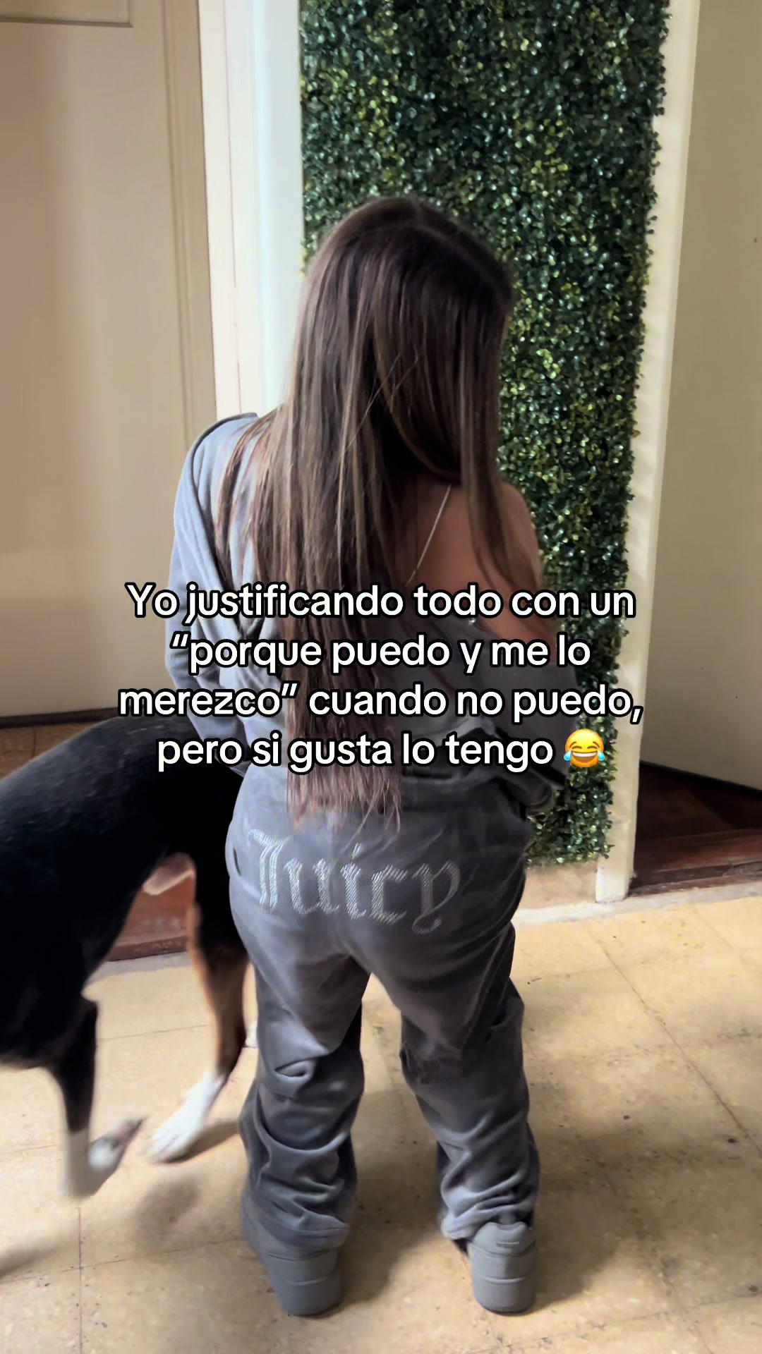 @Lu