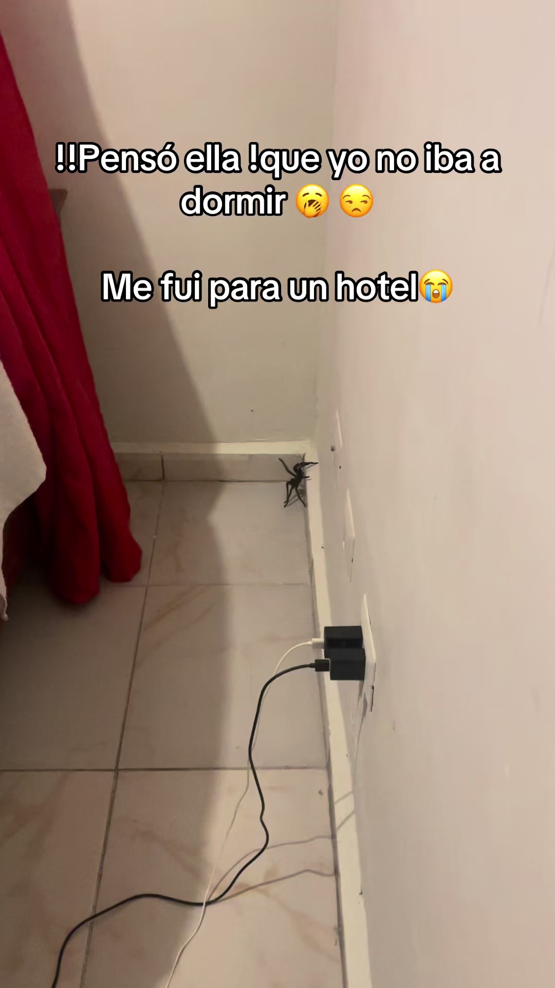 @lachef_almonte