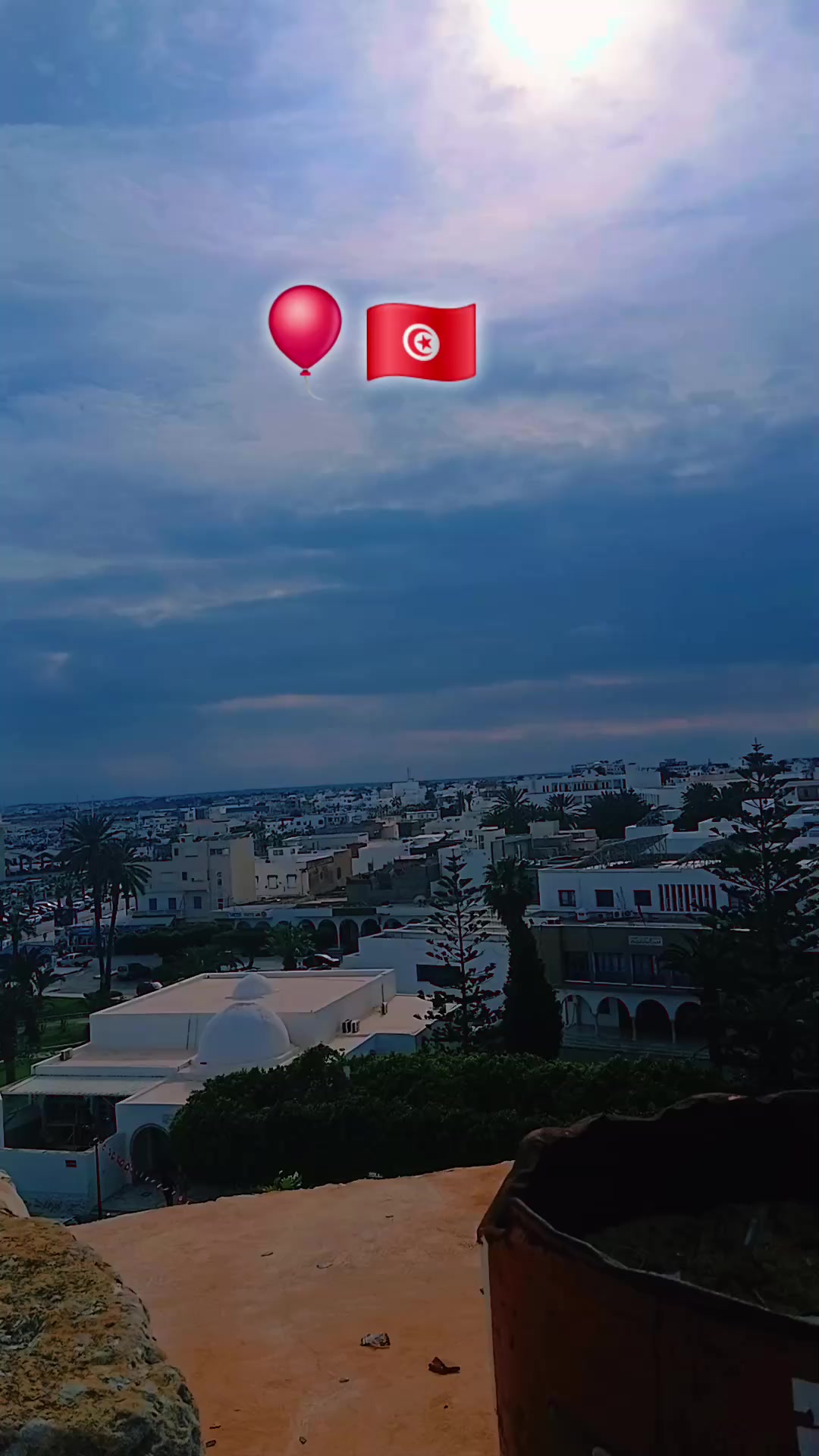 @🌸إيناس 🦌🇹🇳