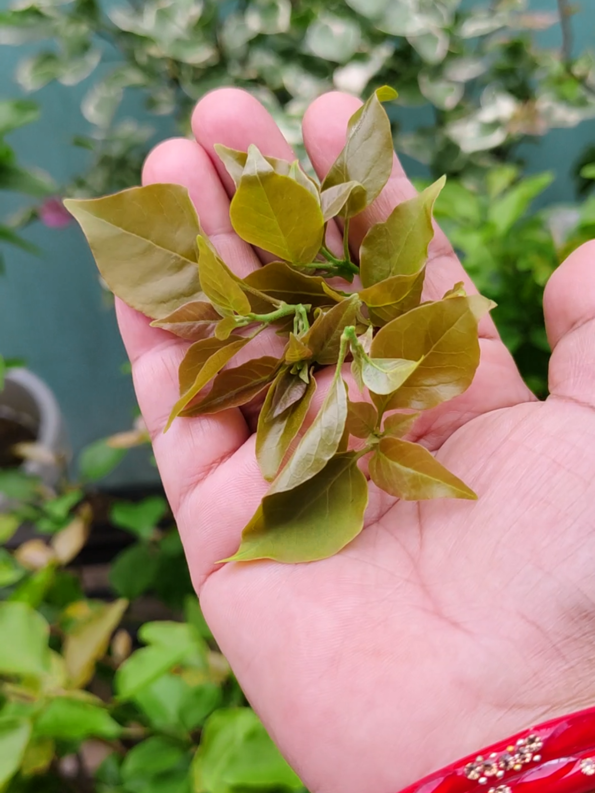 @poonam_shah 🧿🍀