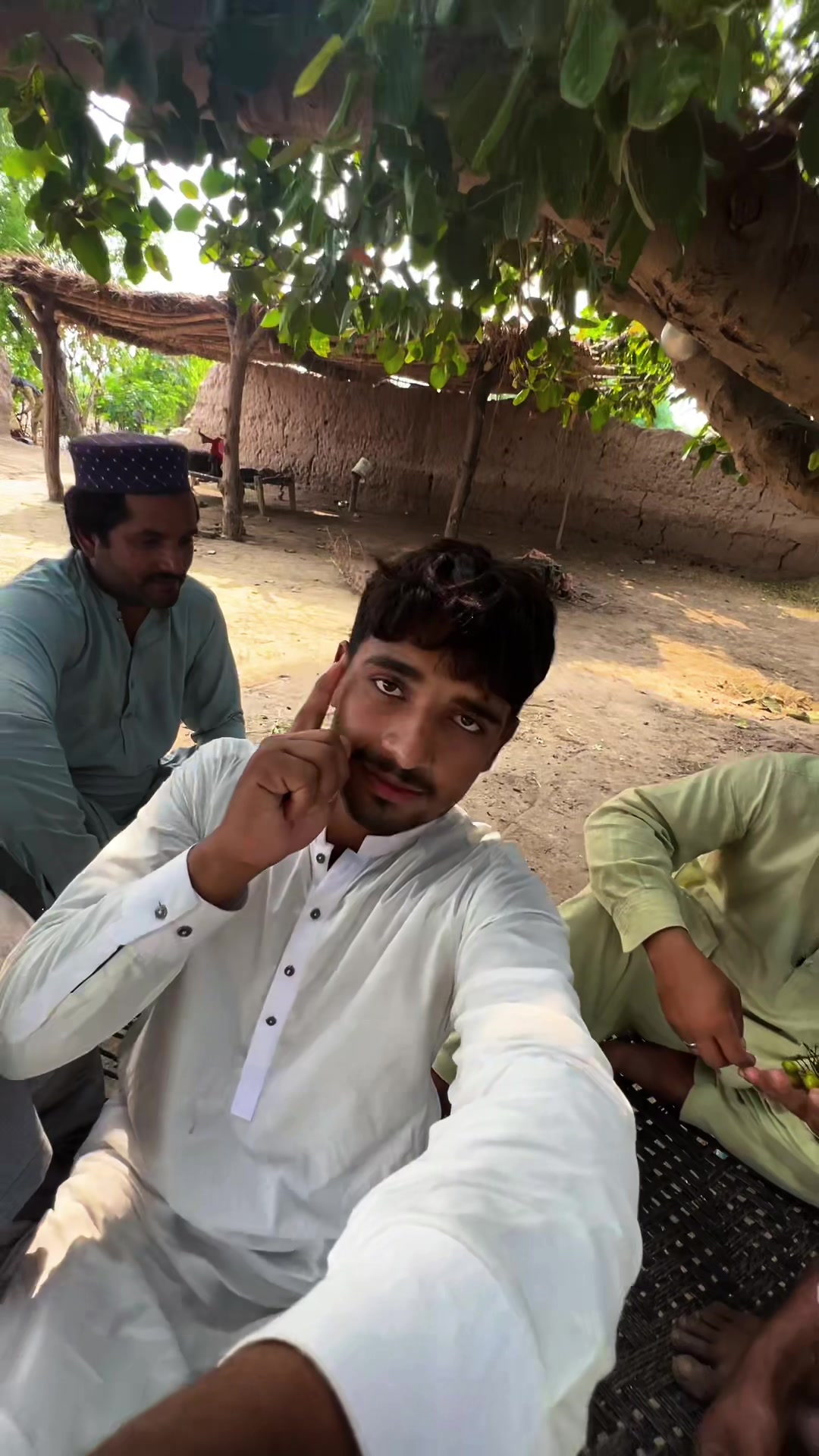 @پینڈو بوائز 378