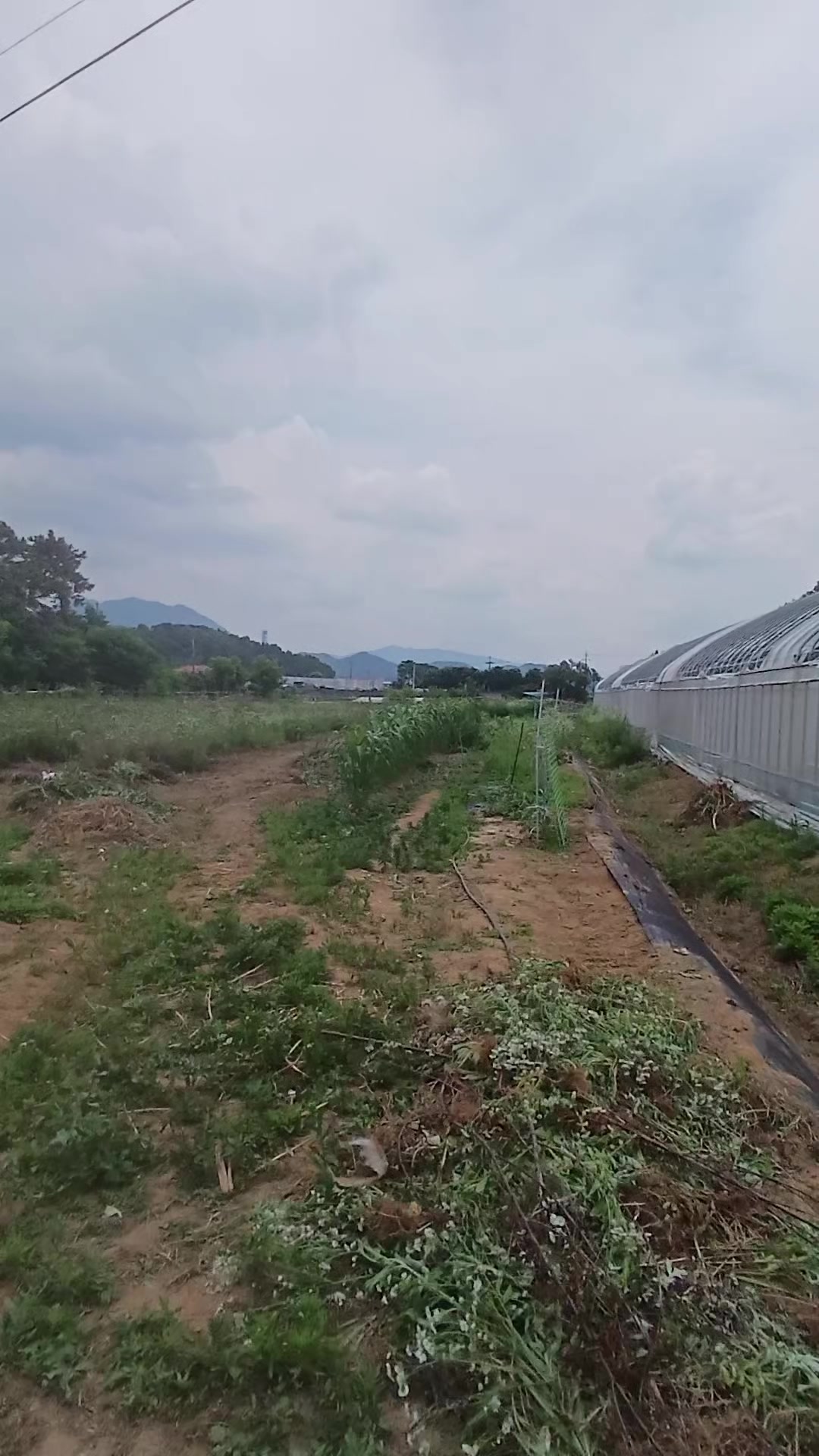 @Mai Thị Hà