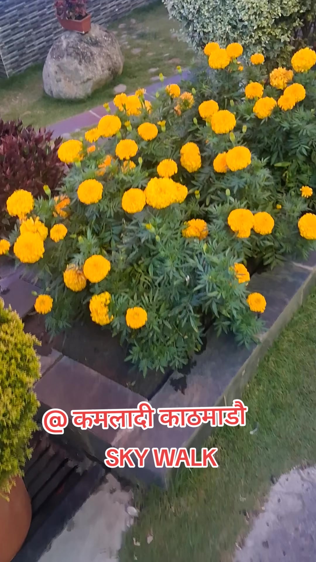 @shivaji
