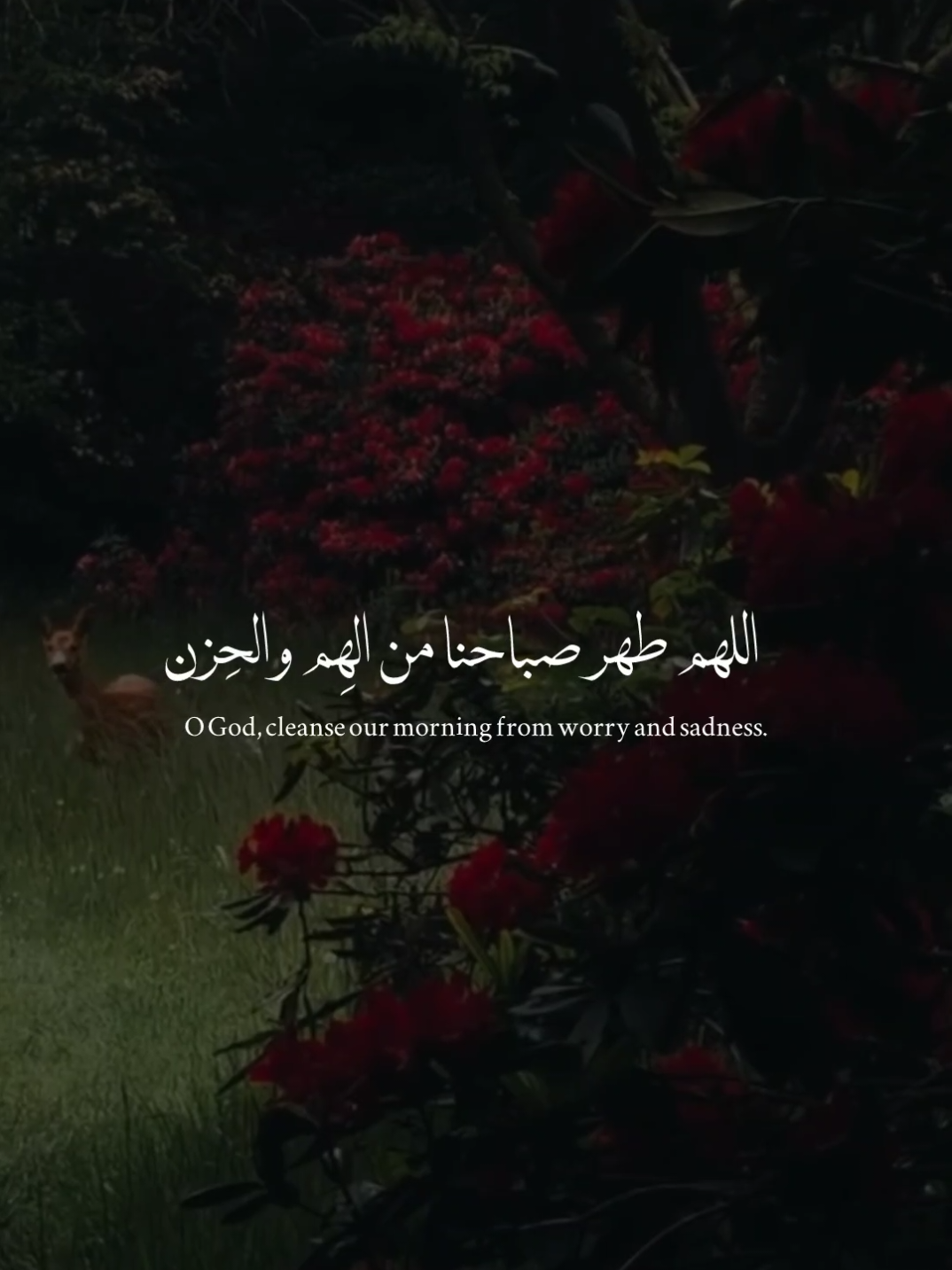 @حمد