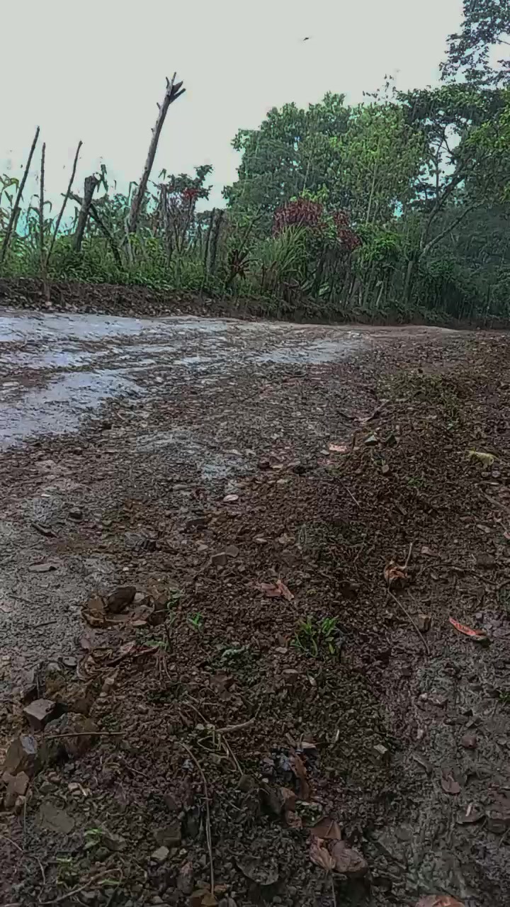 @Oscar Sierra