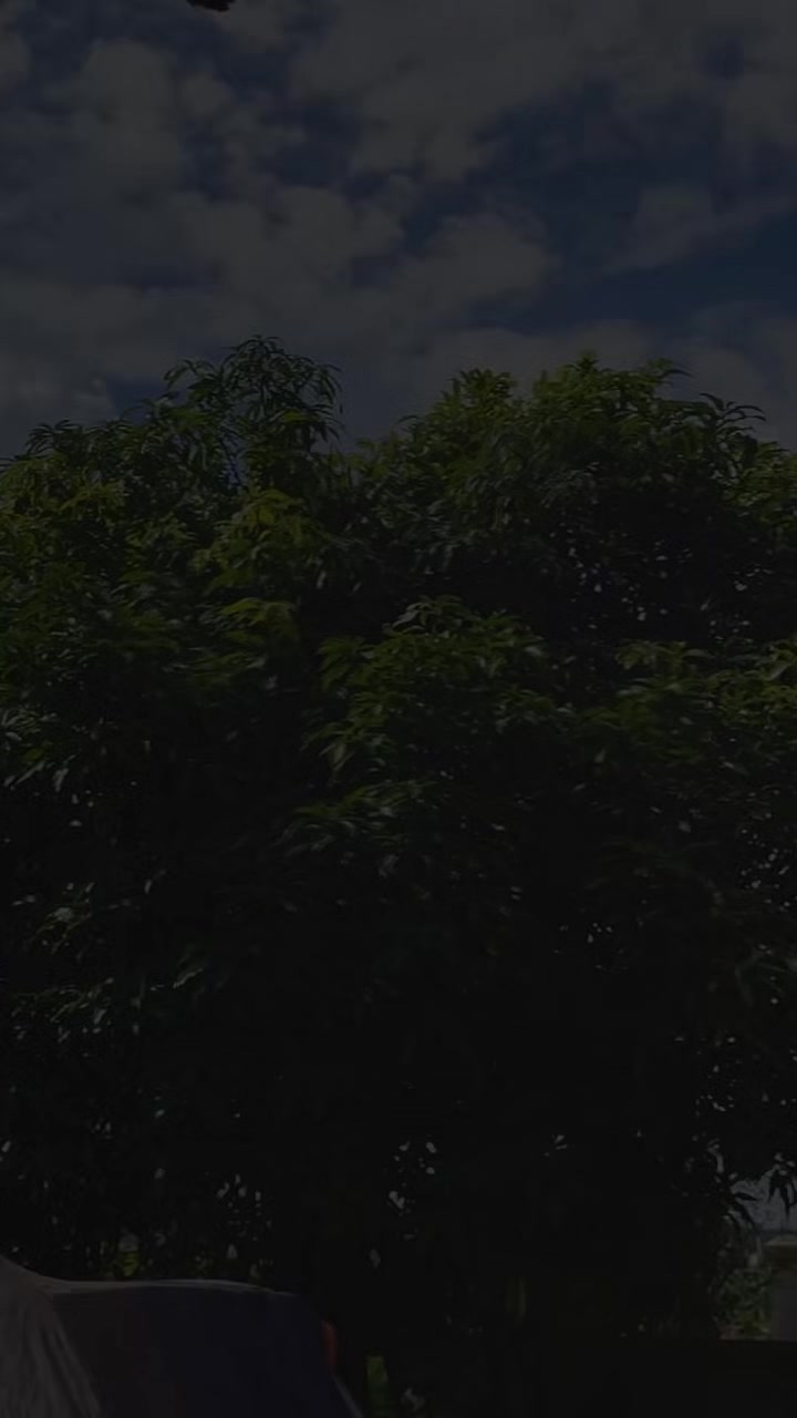 @ð²ð²DEVAð²ð²á¥á®ážáá±ážááŒá®áž
