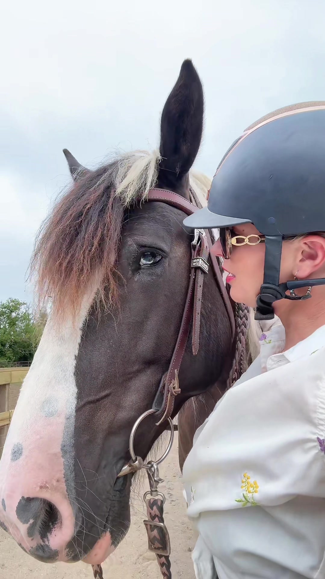 @Free Spirit Equestrian