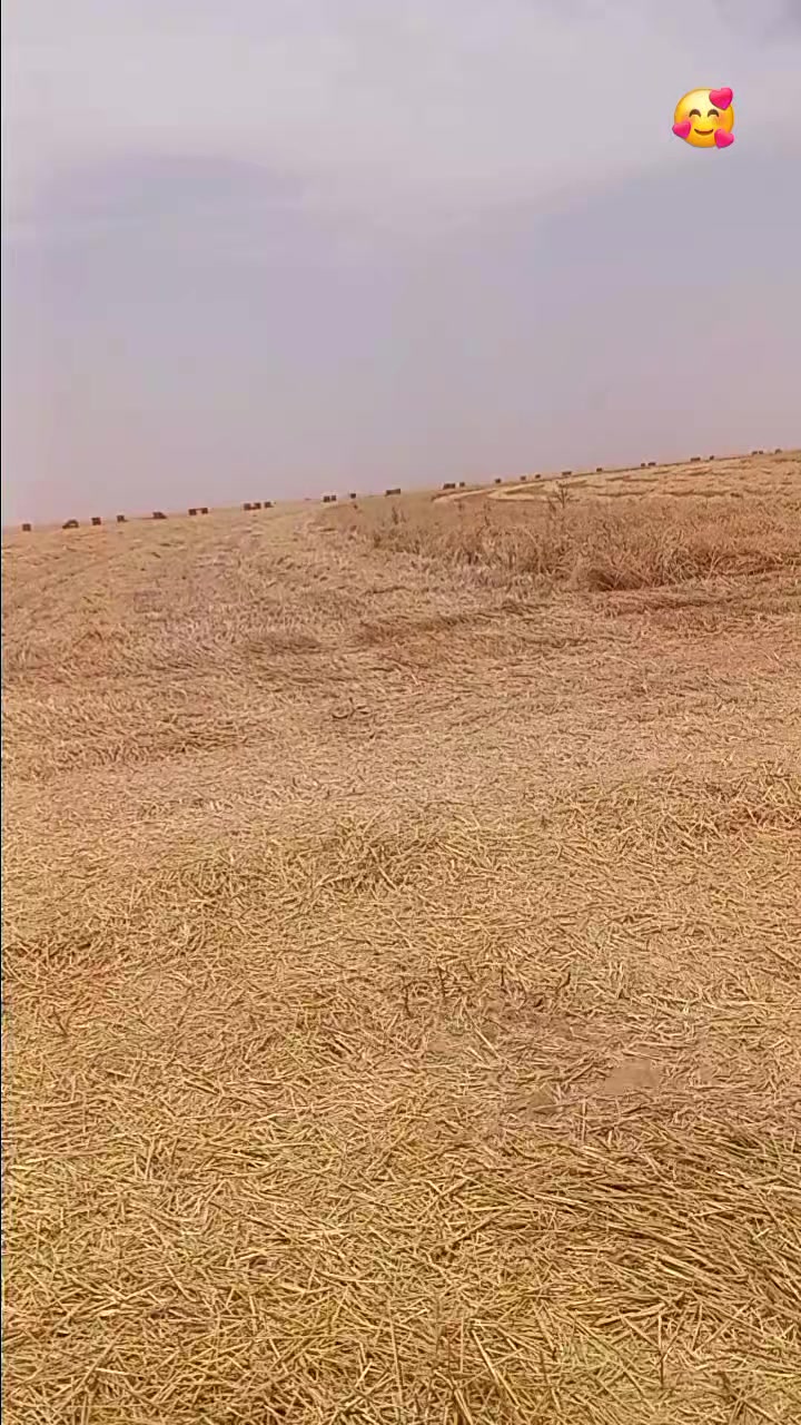 @Aziz saida 20