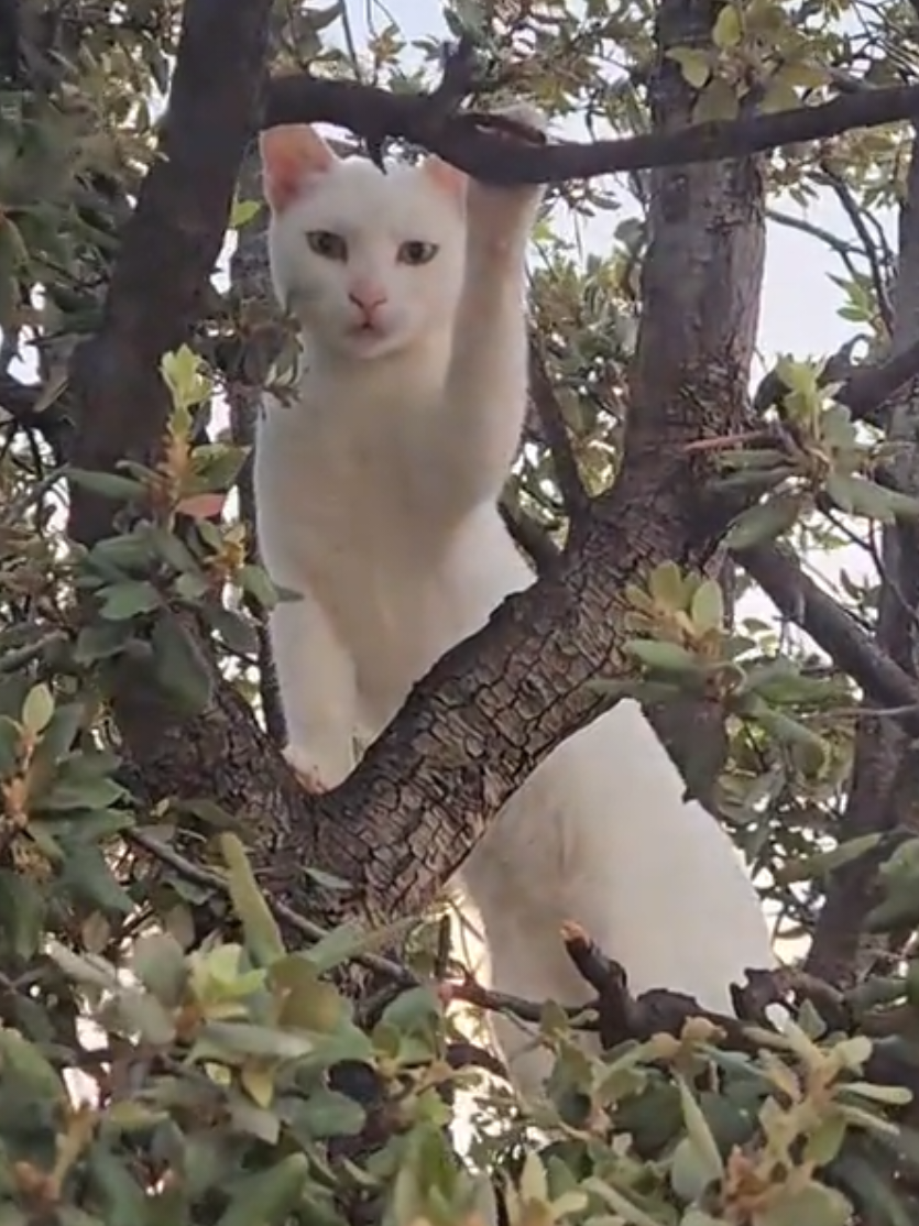 @๐ฑ๐๐๐