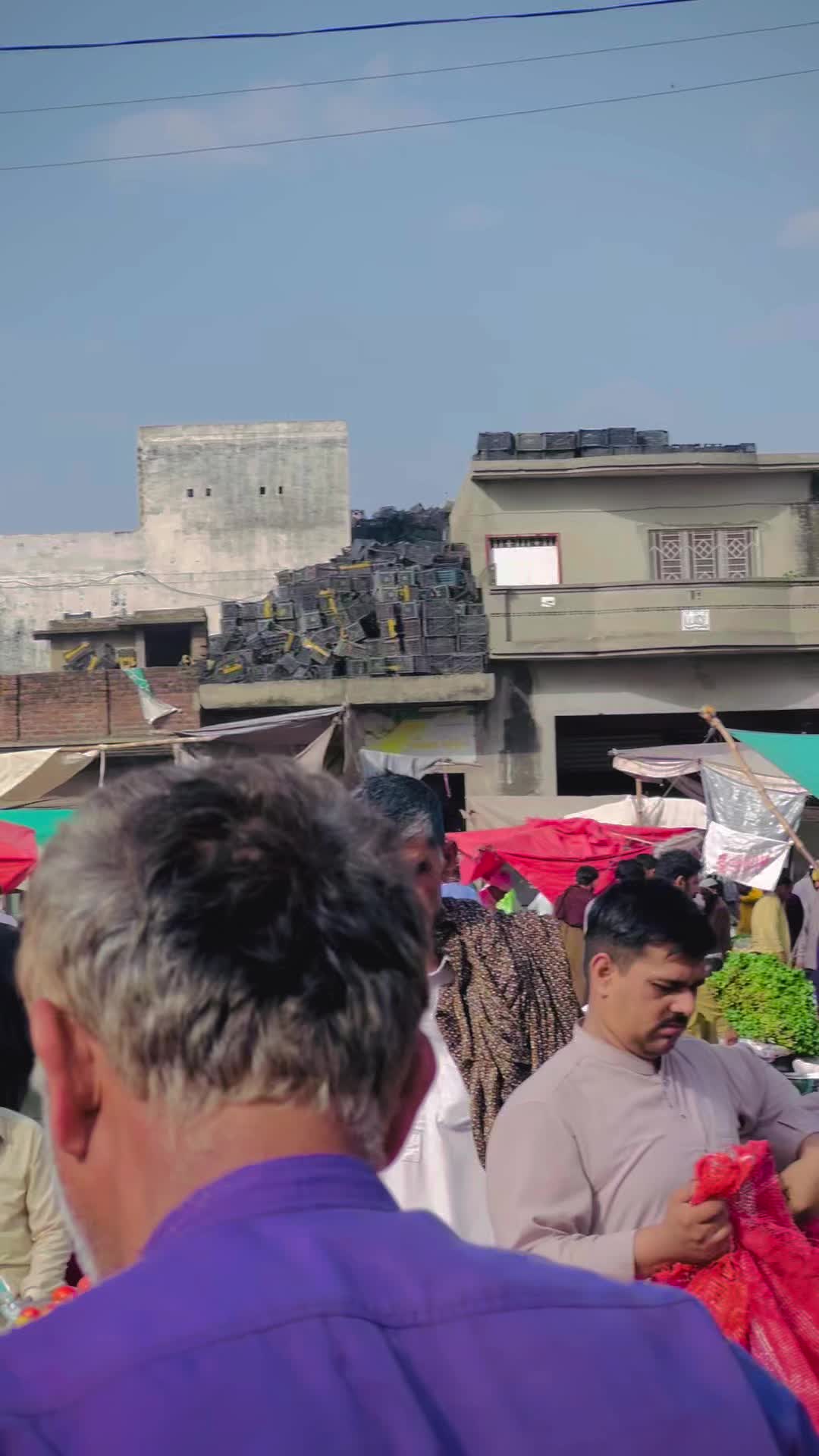 @👑فانی لاڈلا شکرگڑھ 🥷