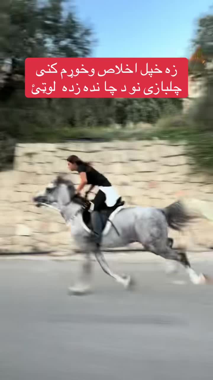 @🇦🇫 زڪـͫــͣــͥـریا🤍 🦅