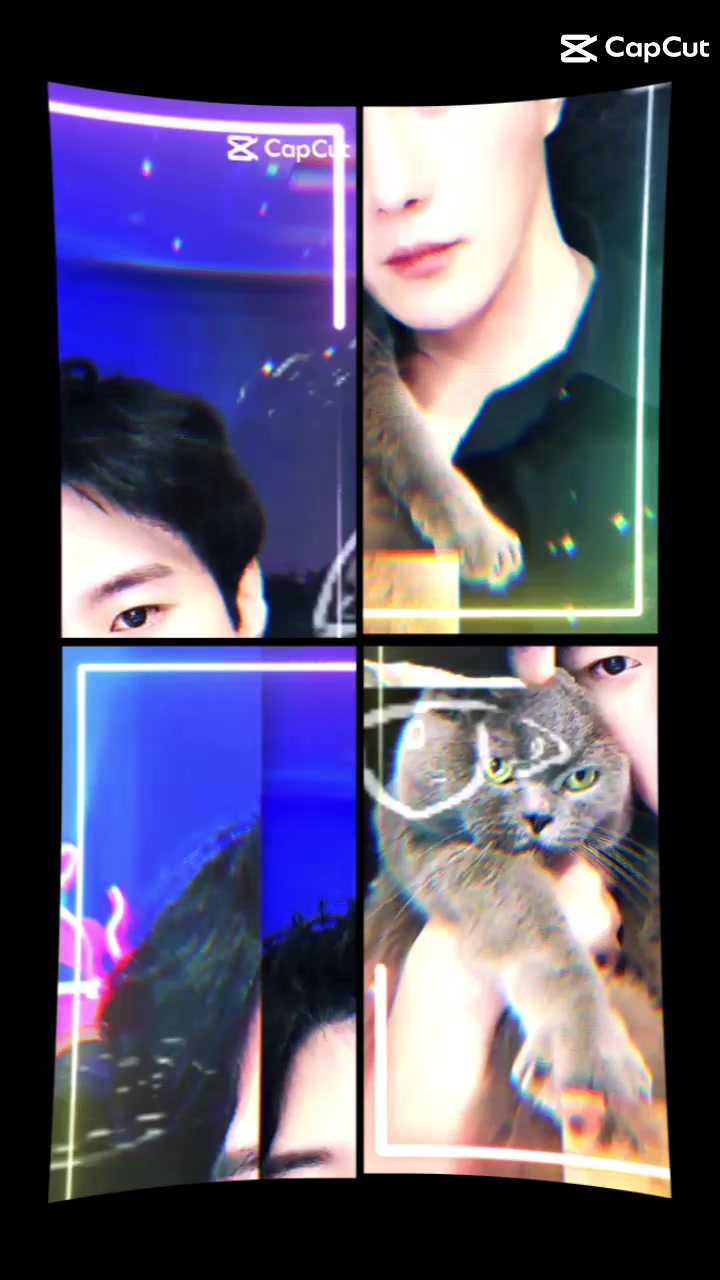 @🩵🐈⬛🅜🅨🅡🅝🅐-🅙🅘🅝🐈⬛🍀