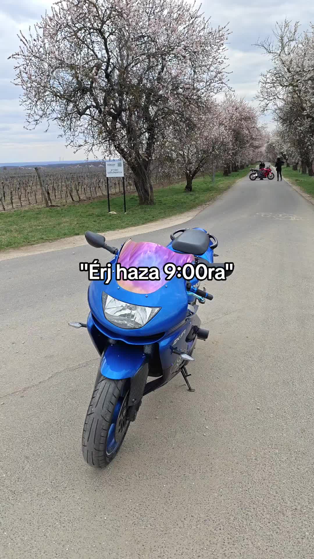 @SteveRiver