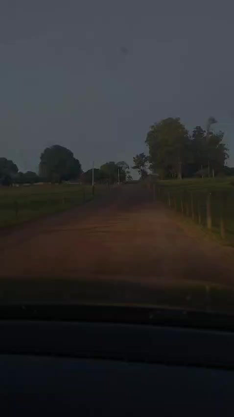 @Dani Gon&ccedil;alves