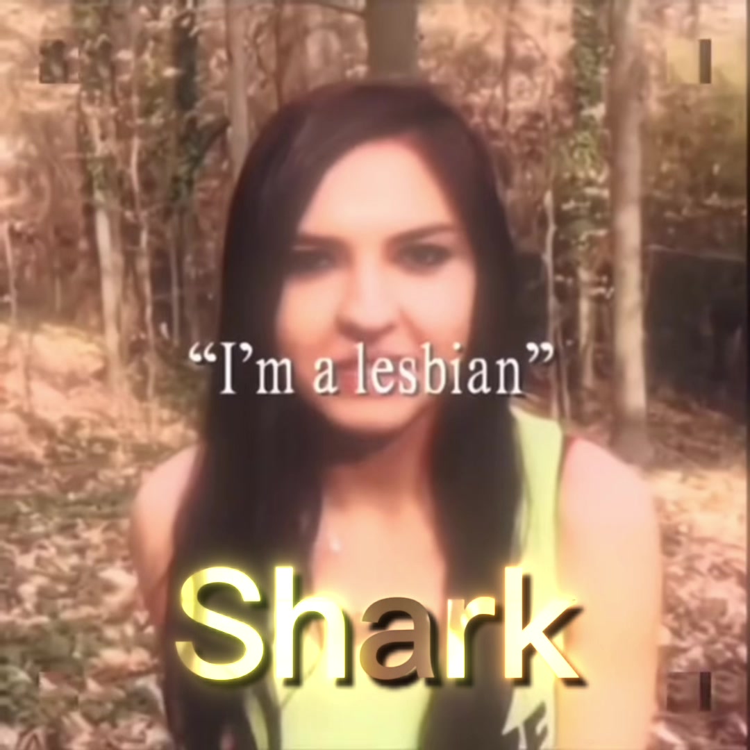 @SHARK🦈