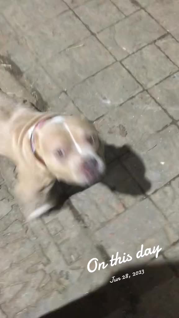 @SweetSammy⚡️