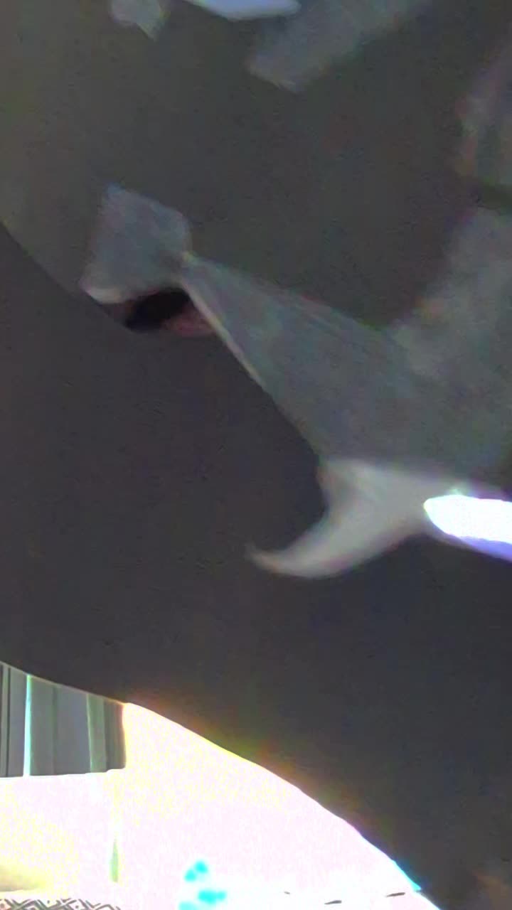 @♡☆◇GHOST-♡-SC@R◇☆♡
