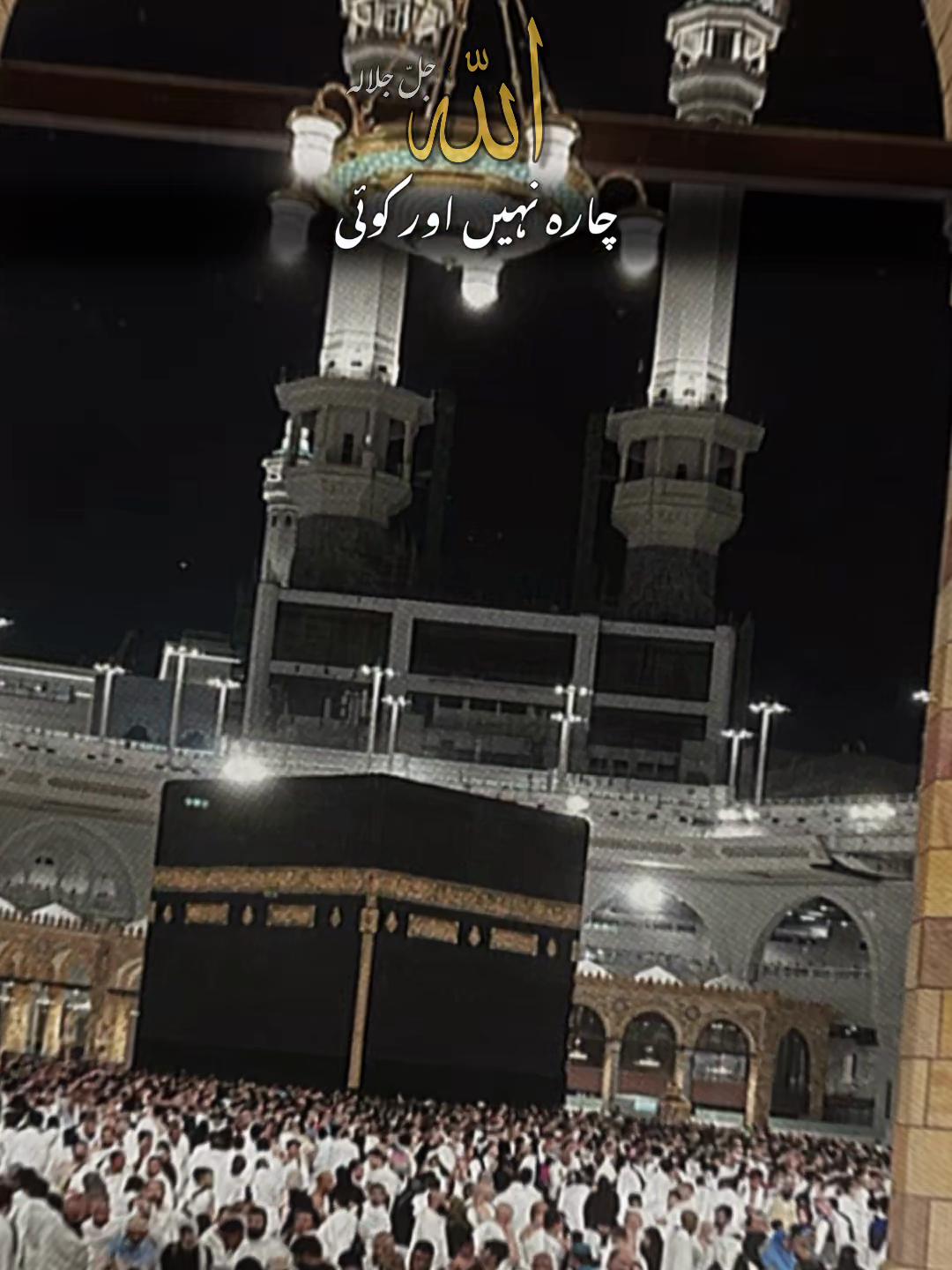 @Ahsan Rajput