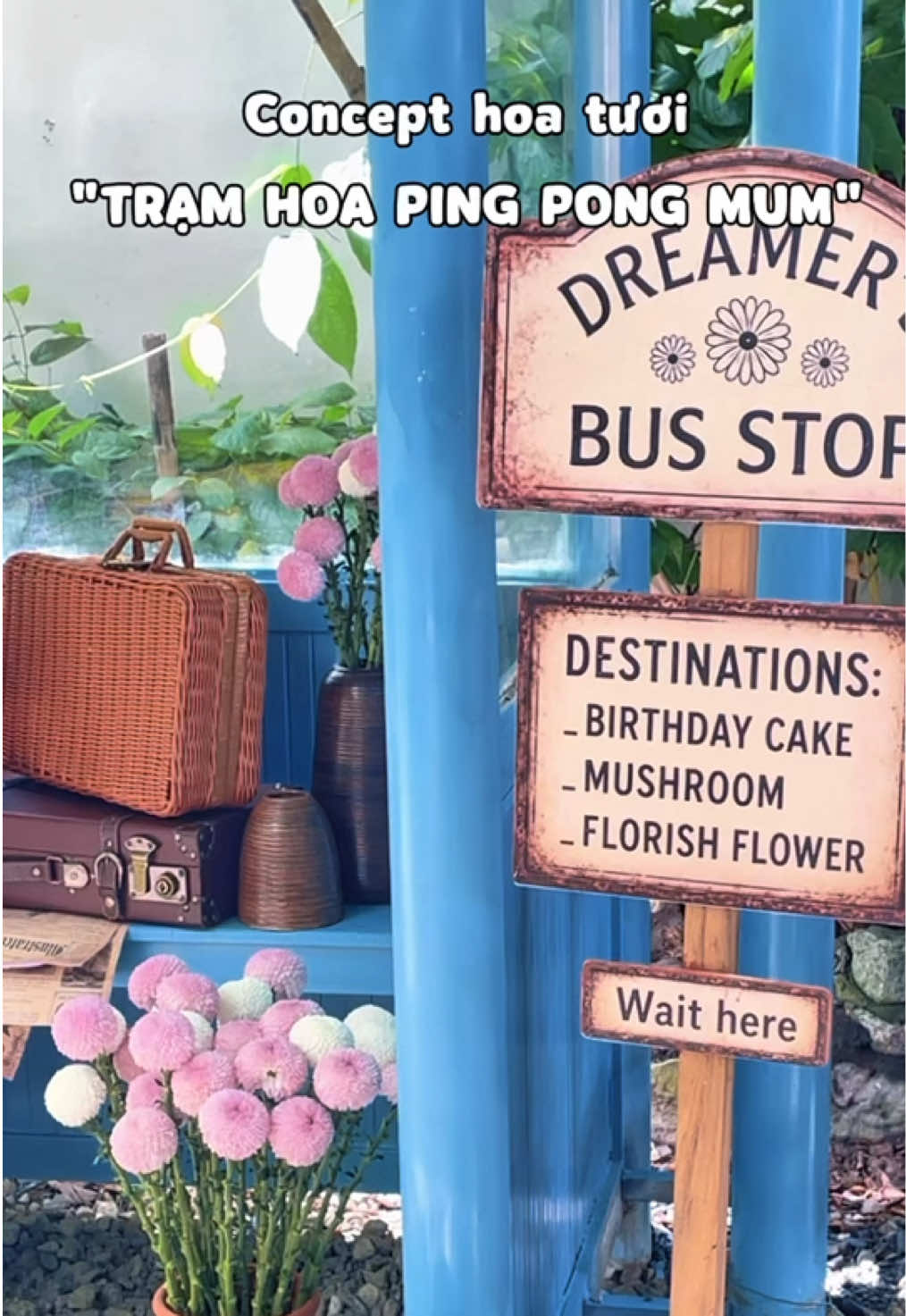 @Tiệm trà Dreamer’s Land