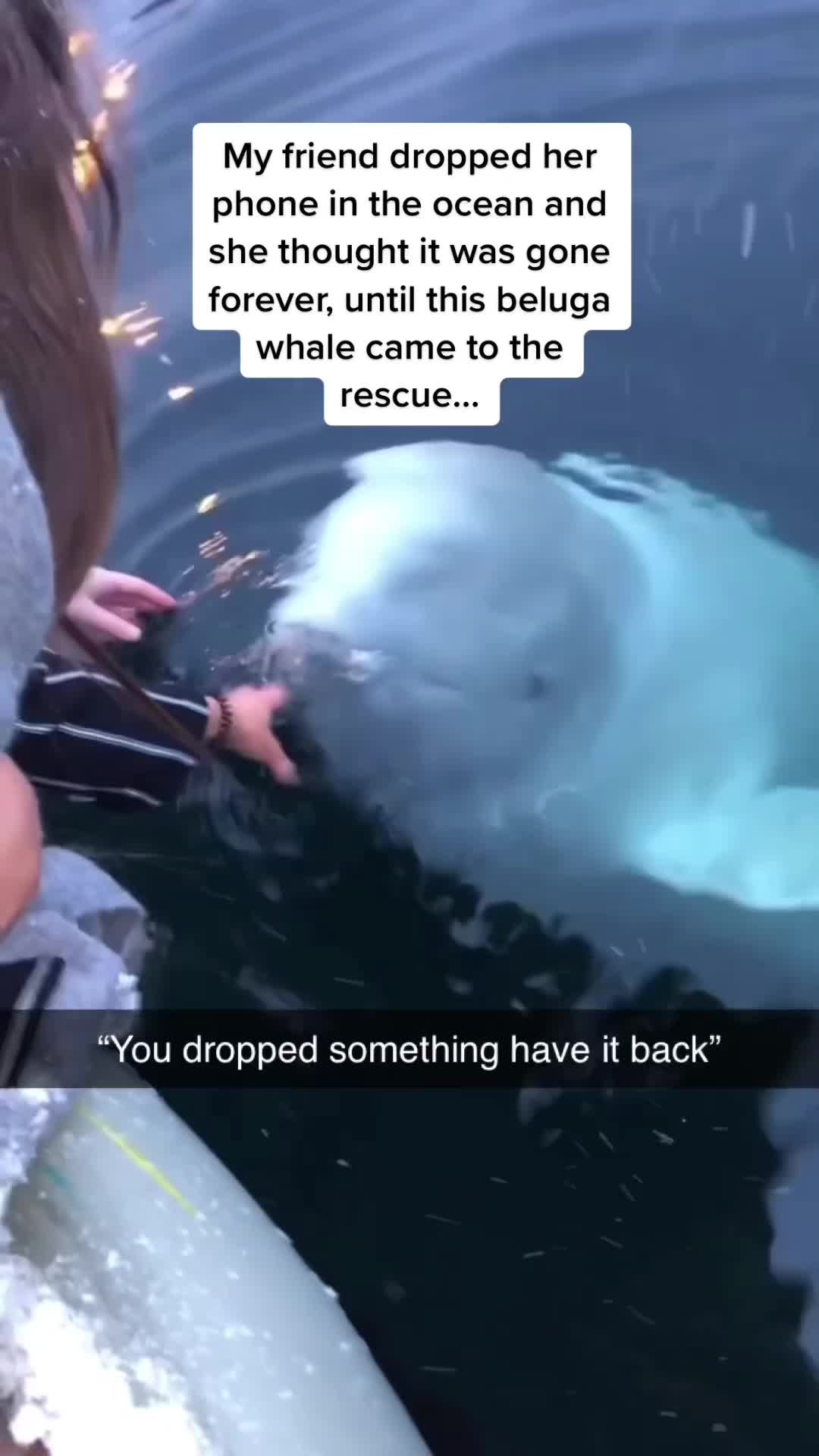 @Fluffy Fails