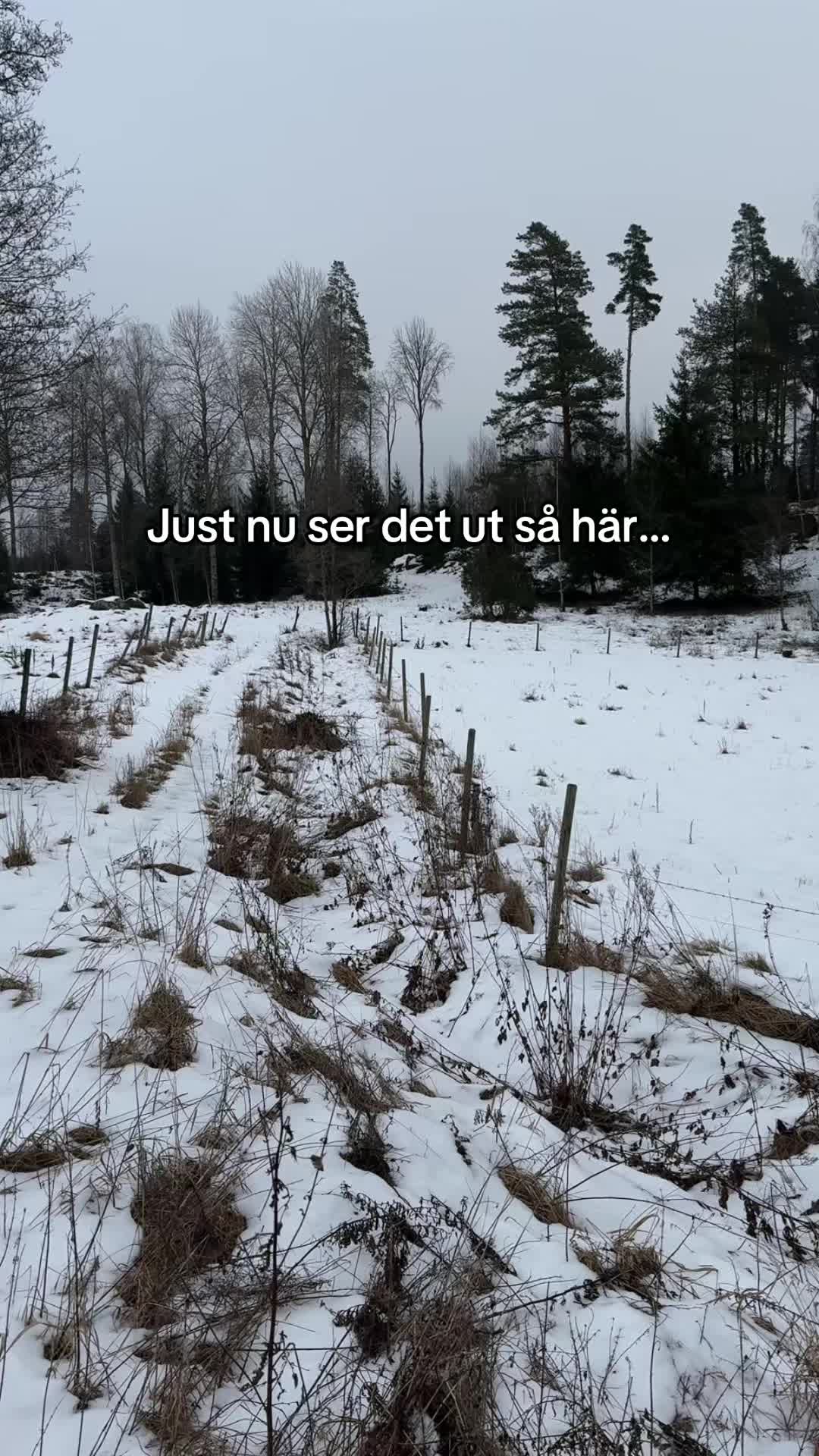 @Olle Nilsson