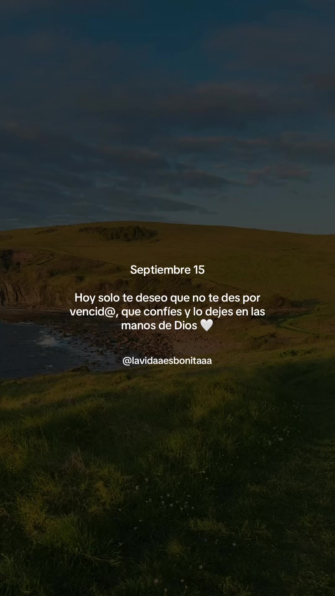 @vidabonita❤️🩹